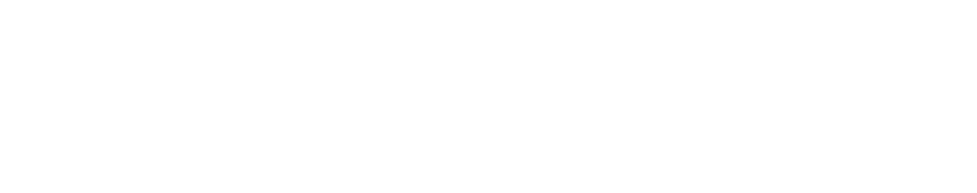 ICONNEX